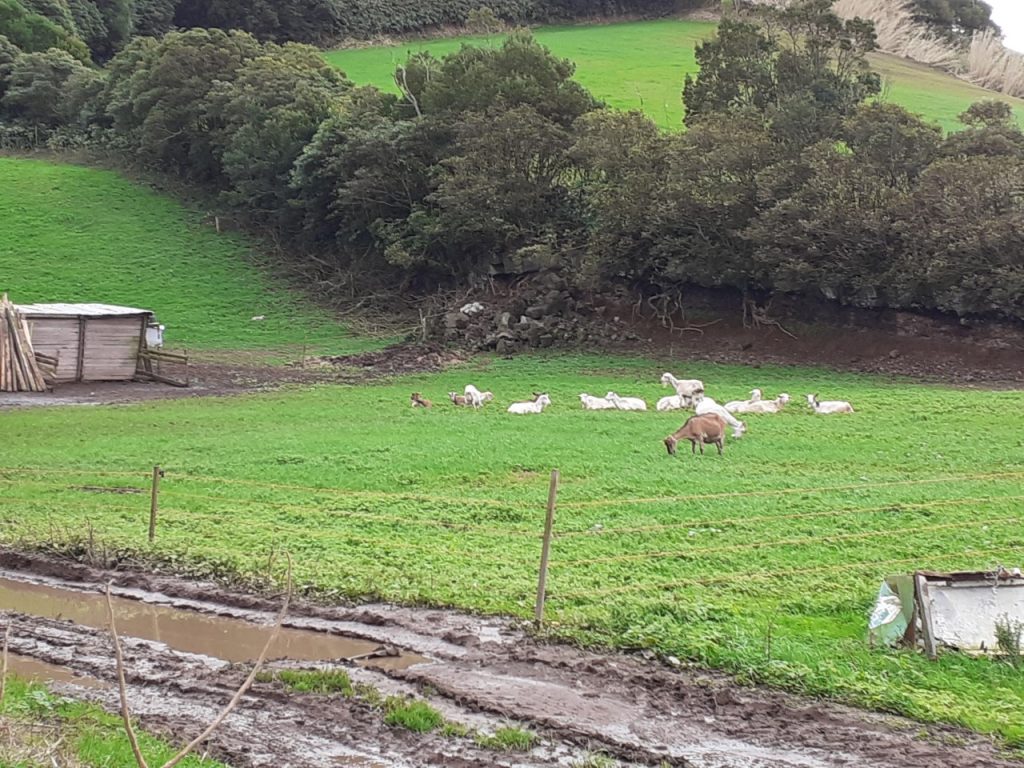 thumbnail_20201227_143828