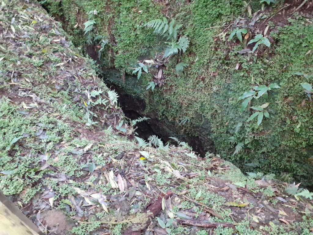 thumbnail_20201227_145226