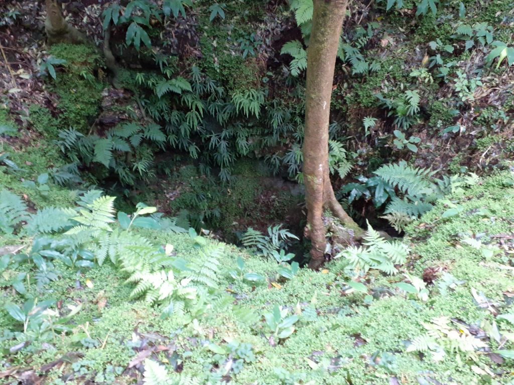 thumbnail_20201227_145412