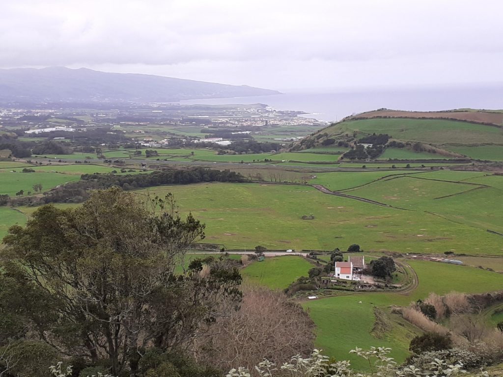 thumbnail_20201227_145909