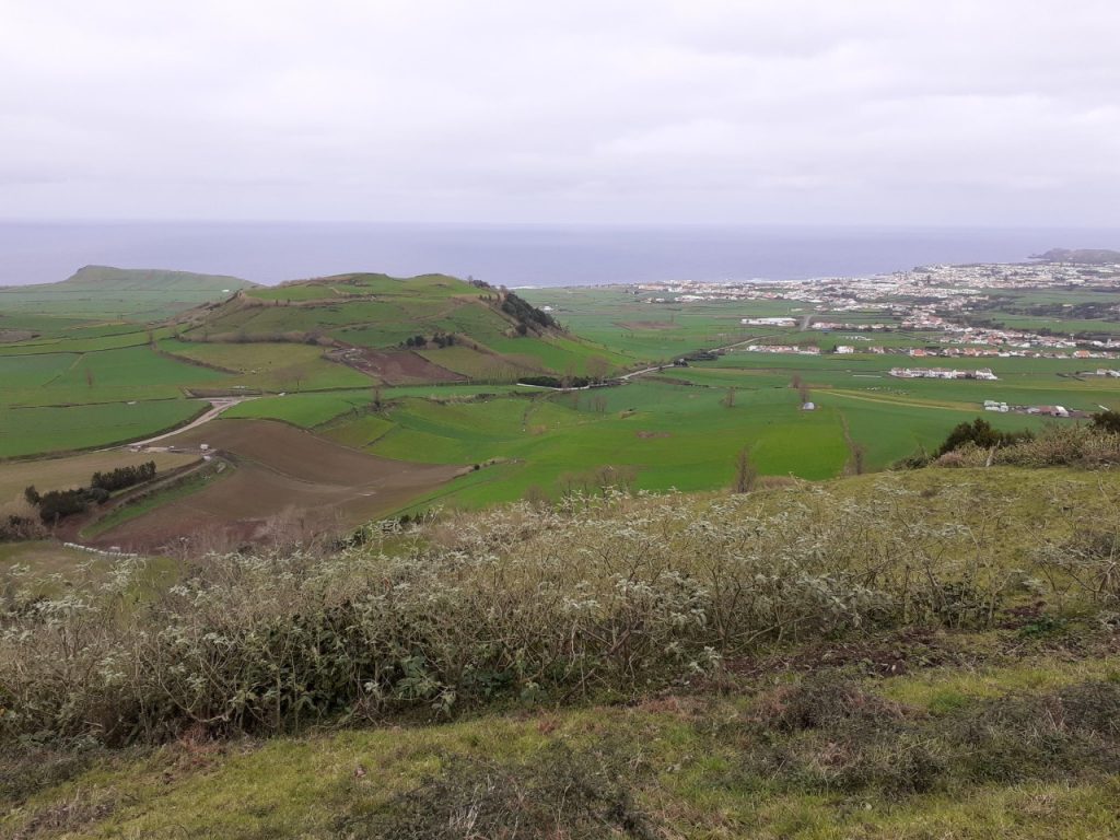 thumbnail_20201227_150047