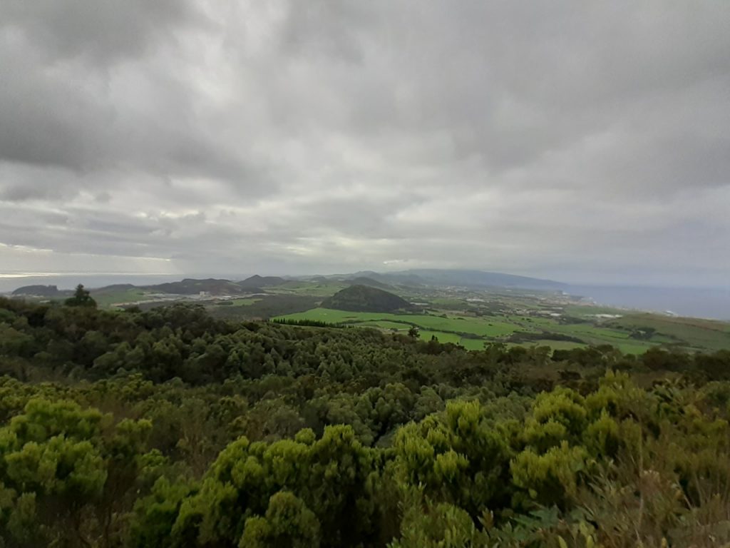 thumbnail_20201227_151502