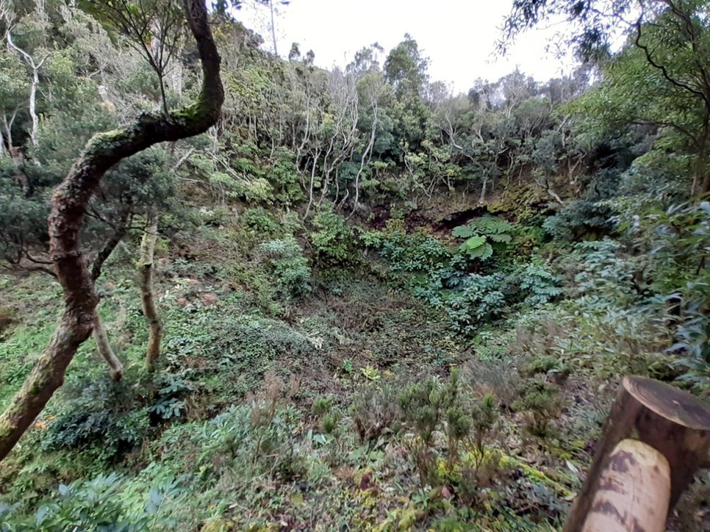 thumbnail_20201227_152254