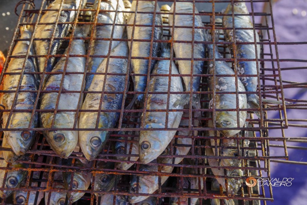 295276248_10210101207204306_858204477630541100_n